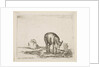 Plate 24: donkeys, from 'Various animals', ca. 1641 by Stefano della Bella