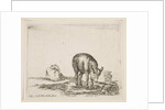 Plate 24: donkeys, from 'Various animals', ca. 1641 by Stefano della Bella