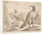 Two eagles, from 'Eagles', ca. 1651 by Stefano della Bella