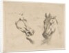 Two Horse Heads, ca. 1649 by Stefano della Bella