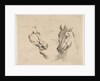 Two Horse Heads, ca. 1649 by Stefano della Bella