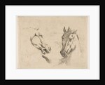 Two Horse Heads, ca. 1649 by Stefano della Bella