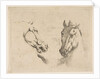 Two Horse Heads, ca. 1649 by Stefano della Bella