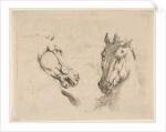 Two Horse Heads, ca. 1649 by Stefano della Bella