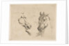 Two Horse Heads, ca. 1649 by Stefano della Bella