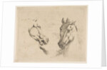 Two Horse Heads, ca. 1649 by Stefano della Bella
