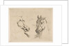 Two Horse Heads, ca. 1649 by Stefano della Bella
