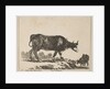 Plate 7: cow, from 'Various animals', ca. 1641 by Stefano della Bella