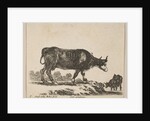 Plate 7: cow, from 'Various animals', ca. 1641 by Stefano della Bella