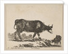 Plate 7: cow, from 'Various animals', ca. 1641 by Stefano della Bella