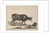 Plate 7: cow, from 'Various animals', ca. 1641 by Stefano della Bella