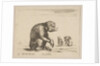 Plate 3: seated monkey, from 'Various animals', ca. 1641 by Stefano della Bella
