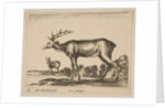 Plate 16: stag, from 'Various animals', ca. 1641 by Stefano della Bella