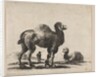 Plate 17: camels, from 'Various animals', after 1641 by Unknown