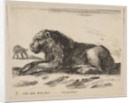 Plate 5: reclining lion, from 'Various animals', ca. 1641 by Stefano della Bella
