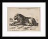Plate 5: reclining lion, from 'Various animals', ca. 1641 by Stefano della Bella