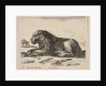 Plate 5: reclining lion, from 'Various animals', ca. 1641 by Stefano della Bella