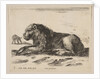 Plate 5: reclining lion, from 'Various animals', ca. 1641 by Stefano della Bella