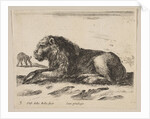 Plate 5: reclining lion, from 'Various animals', ca. 1641 by Stefano della Bella