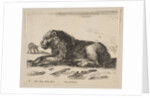 Plate 5: reclining lion, from 'Various animals', ca. 1641 by Stefano della Bella