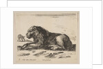 Plate 5: reclining lion, from 'Various animals', ca. 1641 by Stefano della Bella