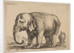 Plate 10: elephant, from 'Various animals', ca. 1641 by Stefano della Bella