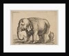Plate 10: elephant, from 'Various animals', ca. 1641 by Stefano della Bella