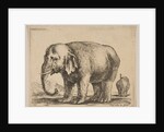 Plate 10: elephant, from 'Various animals', ca. 1641 by Stefano della Bella