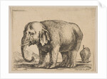 Plate 10: elephant, from 'Various animals', ca. 1641 by Stefano della Bella