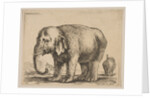 Plate 10: elephant, from 'Various animals', ca. 1641 by Stefano della Bella