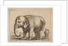 Plate 10: elephant, from 'Various animals', ca. 1641 by Stefano della Bella