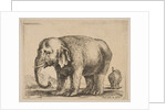 Plate 10: elephant, from 'Various animals', ca. 1641 by Stefano della Bella