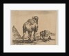 Plate 18: camel viewed from behind with pyramid at left, from 'Various animals by Stefano della Bella