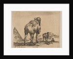 Plate 18: camel viewed from behind with pyramid at left, from 'Various animals by Stefano della Bella