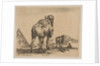 Plate 18: camel viewed from behind with pyramid at left, from 'Various animals by Stefano della Bella