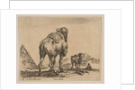 Plate 18: camel viewed from behind with pyramid at left, from 'Various animals by Stefano della Bella