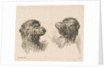 Two Camel Heads, ca. 1641 by Stefano della Bella