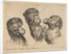Three Camel Heads, ca. 1641 by Stefano della Bella