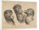 Three Camel Heads, ca. 1641 by Stefano della Bella