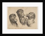 Three Camel Heads, ca. 1641 by Stefano della Bella