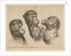 Three Camel Heads, ca. 1641 by Stefano della Bella
