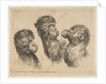Three Camel Heads, ca. 1641 by Stefano della Bella