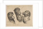 Three Camel Heads, ca. 1641 by Stefano della Bella