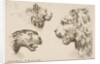 Heads of Three Lions, ca. 1641 by Stefano della Bella