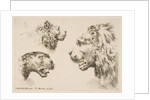 Heads of Three Lions, ca. 1641 by Stefano della Bella