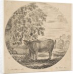 A peasant woman with a cow at a fountain decorated with the Medici arms, from 'Six ani…, ca. 1646 by Stefano della Bella