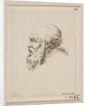 Head of a Bald and Bearded Old Man in Profile, from 'Various heads and figures by Stefano della Bella