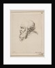 Head of a Bald and Bearded Old Man in Profile, from 'Various heads and figures by Stefano della Bella