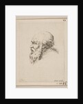 Head of a Bald and Bearded Old Man in Profile, from 'Various heads and figures by Stefano della Bella