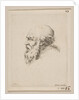 Head of a Bald and Bearded Old Man in Profile, from 'Various heads and figures by Stefano della Bella